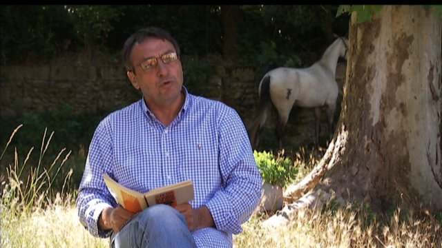 Dos Hermanas Arles 2015